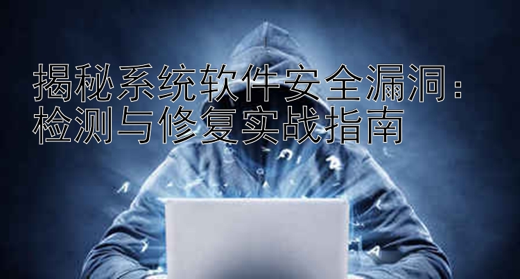 揭秘系统软件安全漏洞：检测与修复实战指南