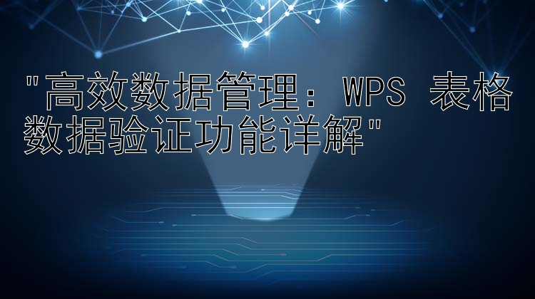 高效数据管理：WPS 表格数据验证功能详解