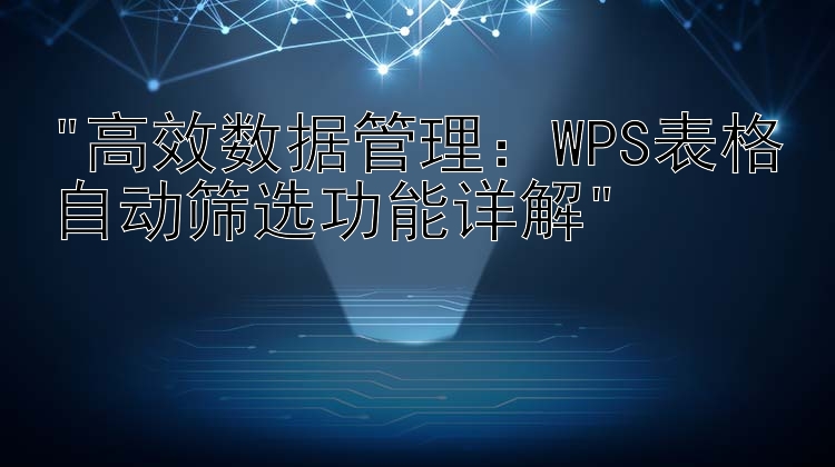 高效数据管理：WPS表格自动筛选功能详解