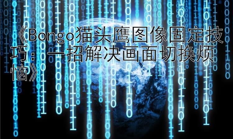 《Bongo猫头鹰图像固定技巧：一招解决画面切换烦恼》