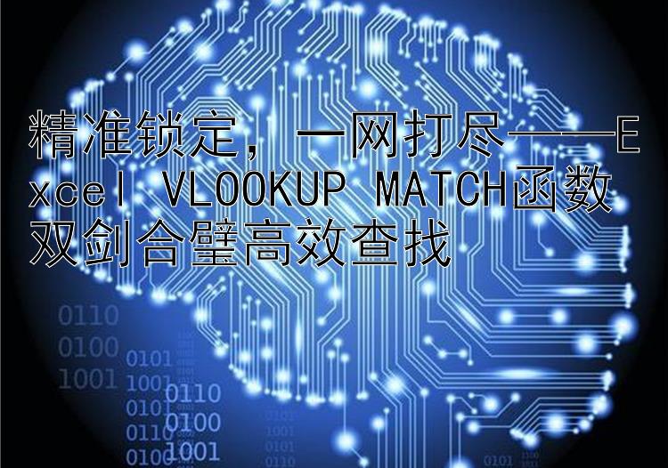 精准锁定，一网打尽——Excel VLOOKUP+MATCH函数双剑合璧高效查找